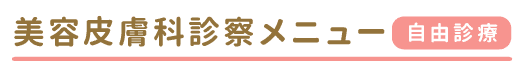 美容皮膚科診察メニュー